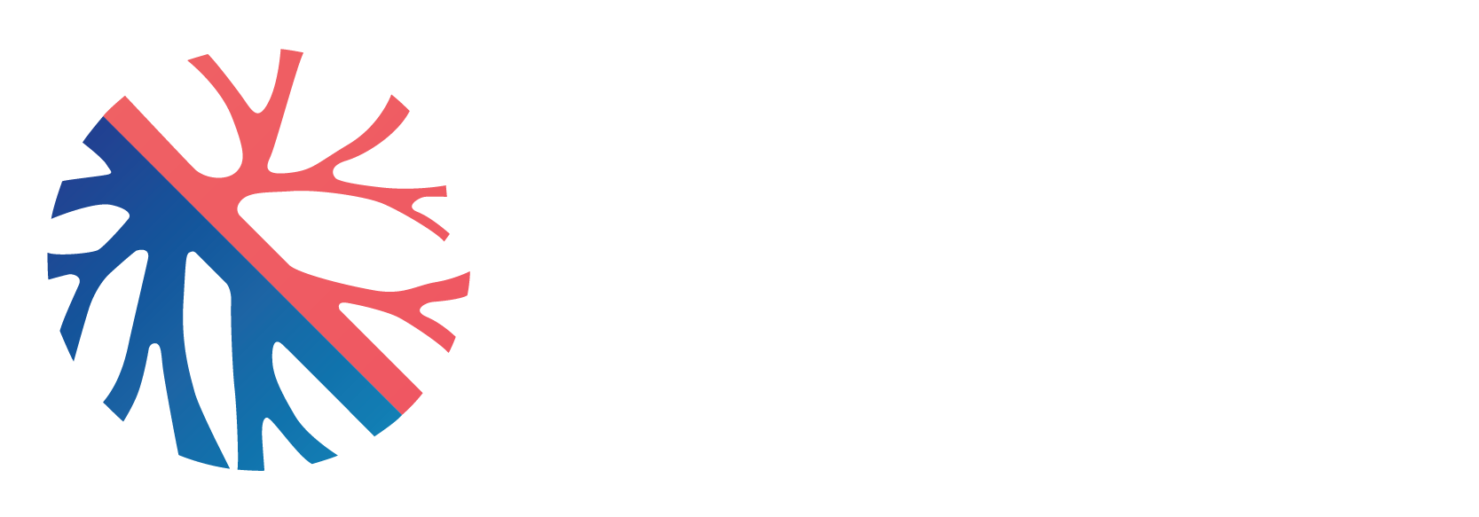 Vascular Health Bronte